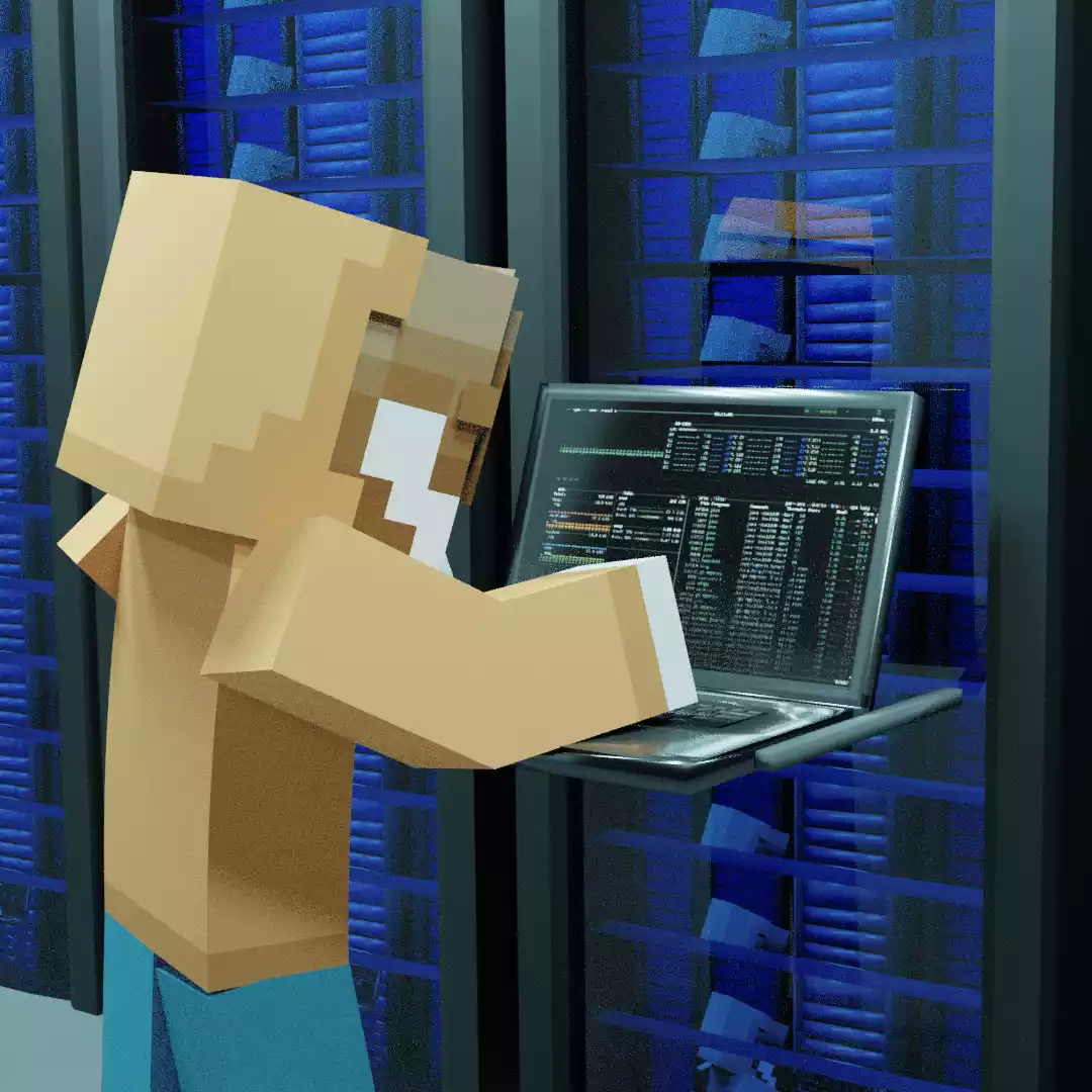 Server Management